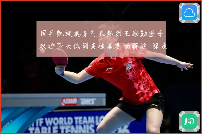 国乒凯旋抵京气氛热烈王励勤握手欢迎莎头低调走通道赛场解读-深度解析