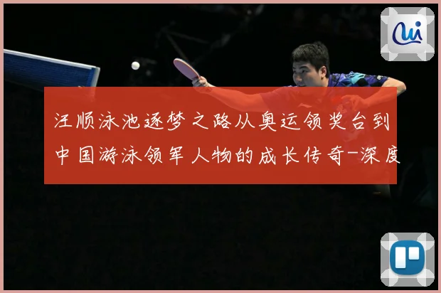 汪顺泳池逐梦之路从奥运领奖台到中国游泳领军人物的成长传奇-深度解析