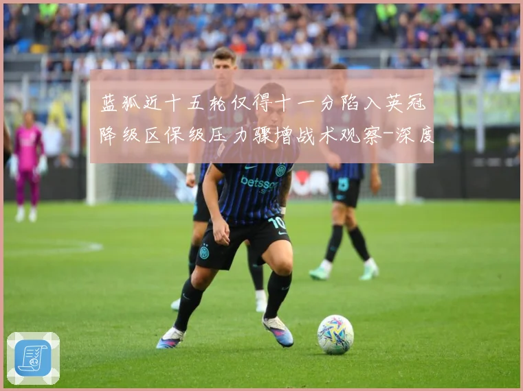 蓝狐近十五轮仅得十一分陷入英冠降级区保级压力骤增战术观察-深度解析