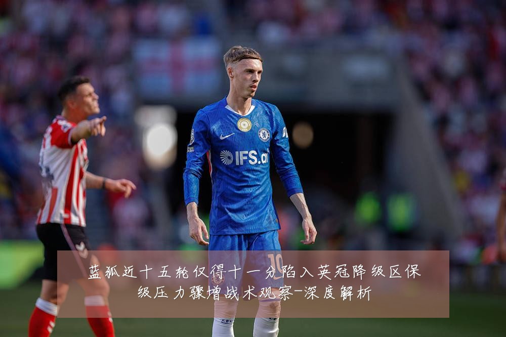 蓝狐近十五轮仅得十一分陷入英冠降级区保级压力骤增战术观察-深度解析