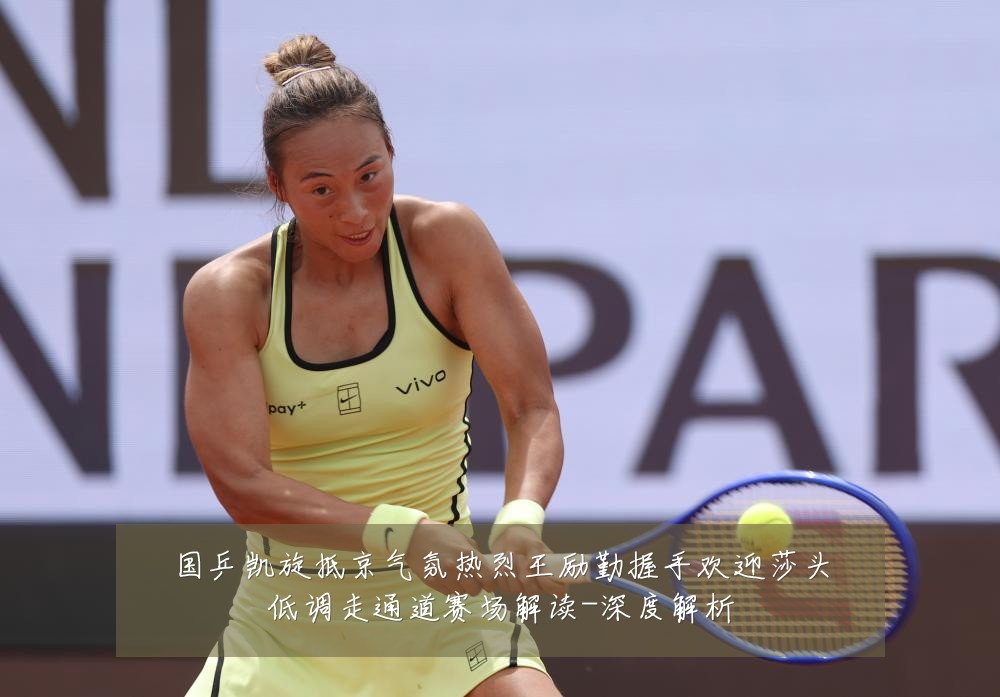 国乒凯旋抵京气氛热烈王励勤握手欢迎莎头低调走通道赛场解读-深度解析