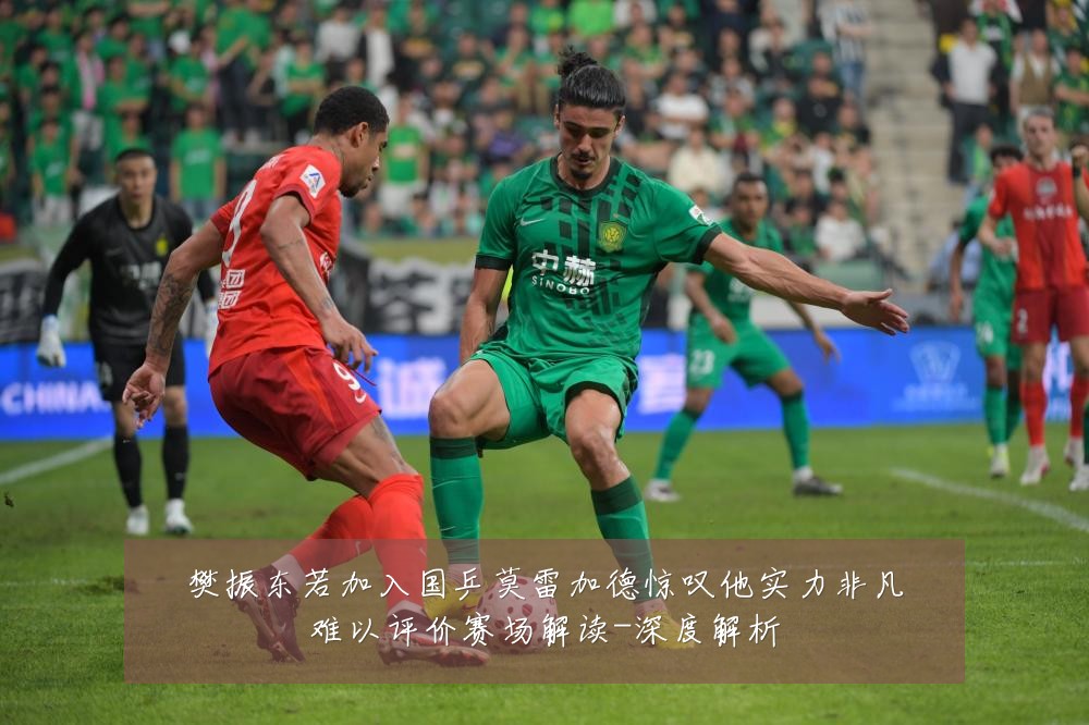 樊振东若加入国乒莫雷加德惊叹他实力非凡难以评价赛场解读-深度解析